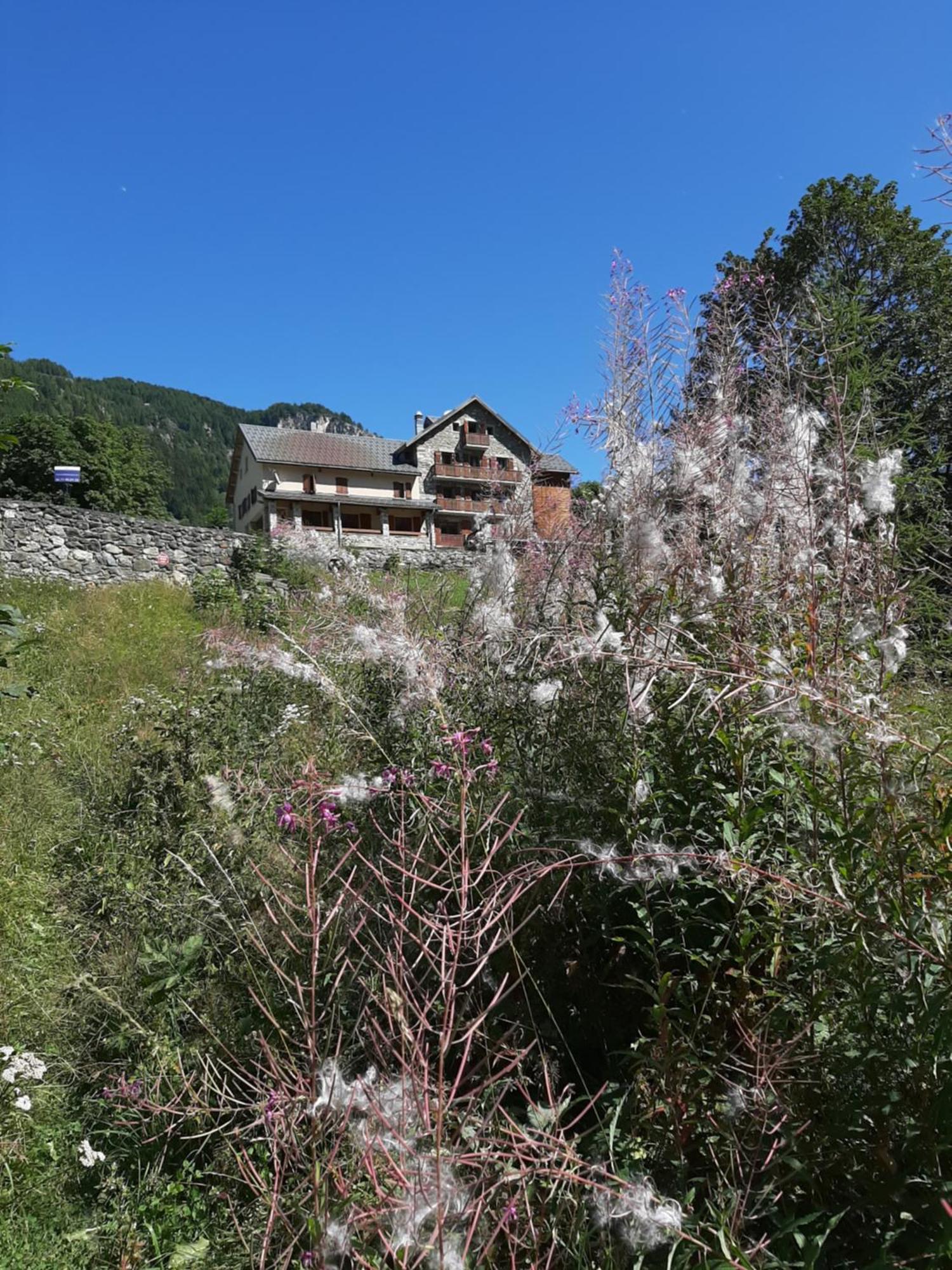 Chalet du Bon Air Peisey-Nancroix Extérieur photo